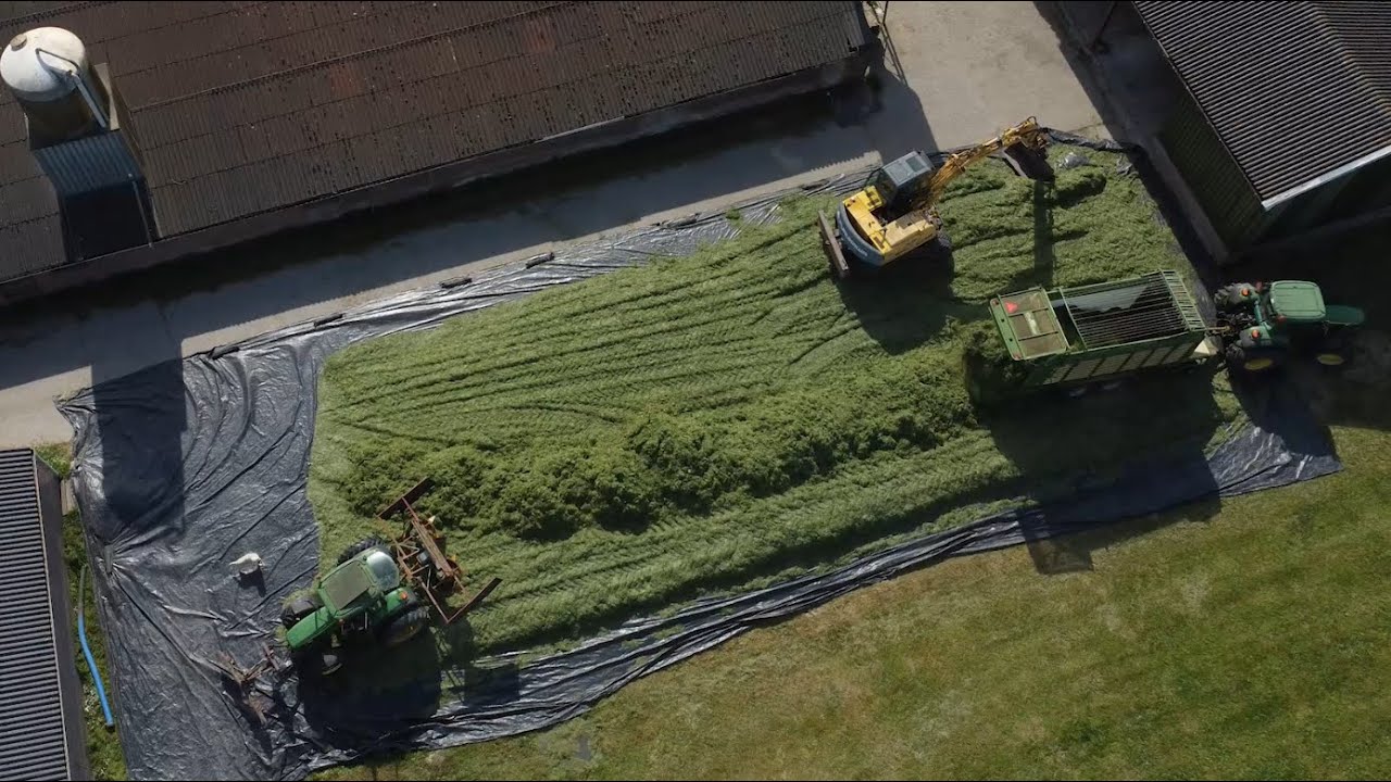 Dutch Traditional Bunkerless Silage Harvest - May 2022