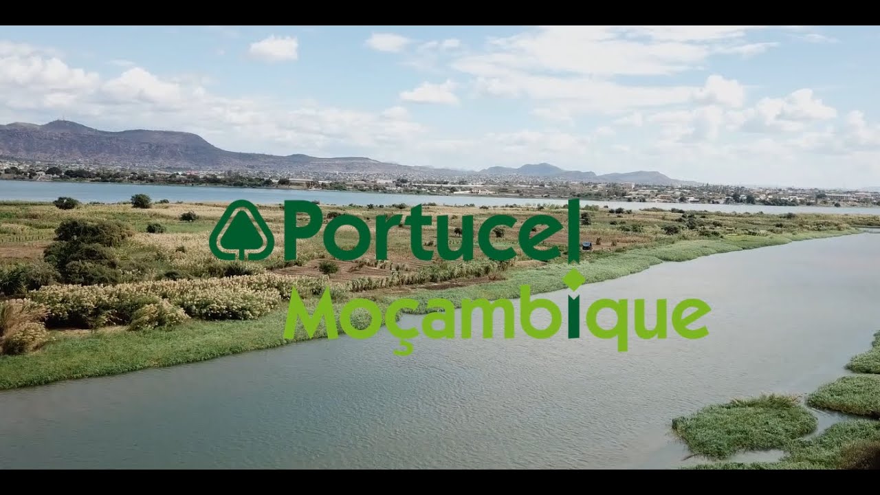 Portucel Moçambique -  Encontro Anual da New Generation Plantations