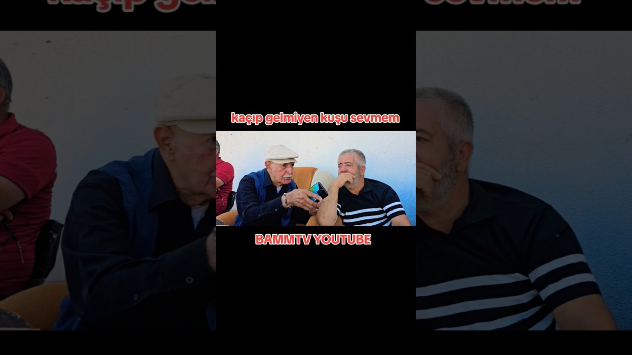 ka&ccedil;ıp gelmiyen kuşu sevmiyorum hacı &ouml;mer amca eskilerden✅️ #keşfet #g&uuml;vercin #shortvideo #pigeon