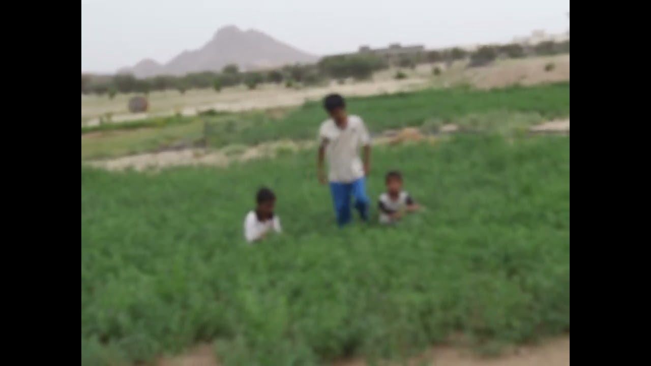 ‏تطعيس ￼