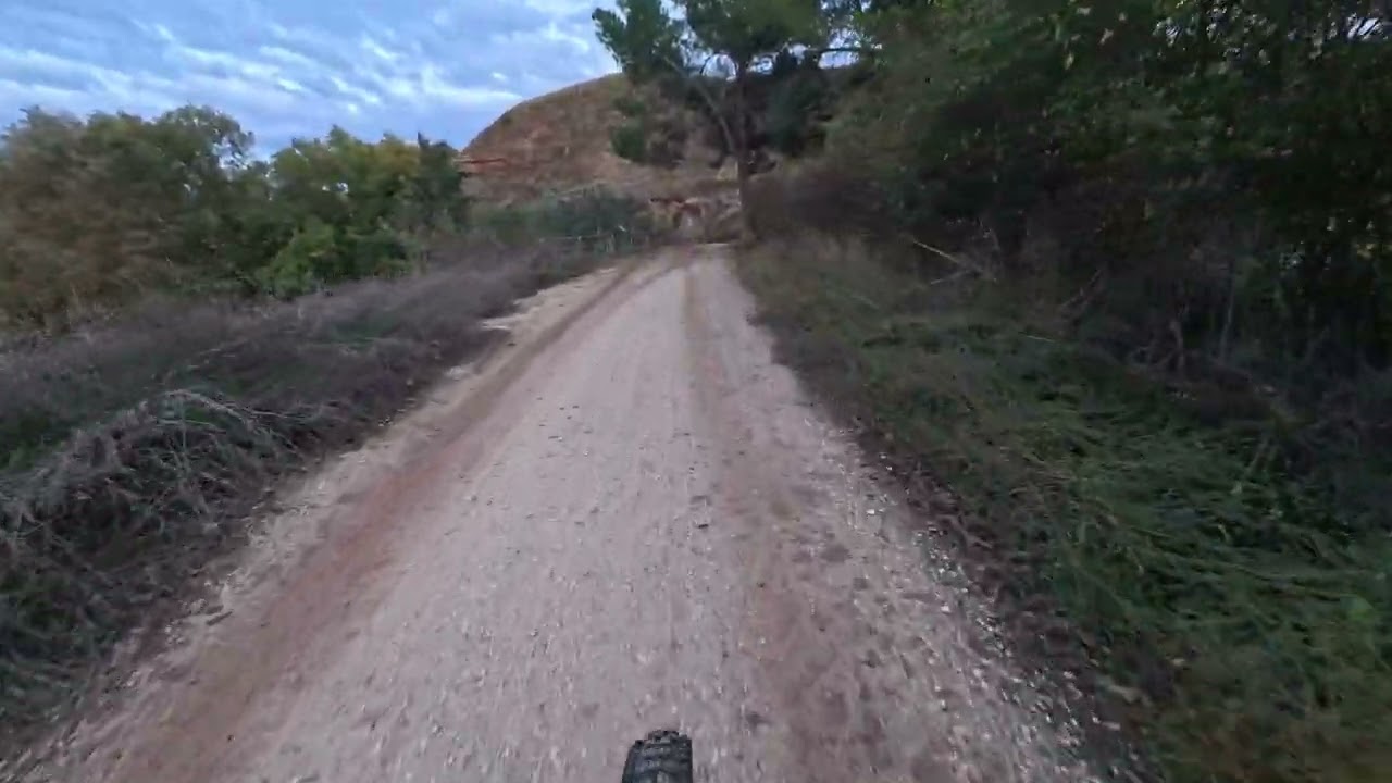 PURE VIDEO SETTINGS ON THE INSTA360 ACE PRO