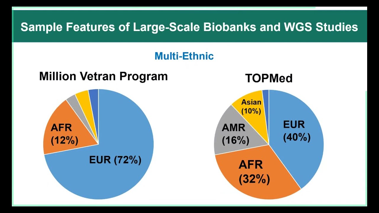 Xihong Lin: Scalable Analysis of Biobanks and Multi-Ethnic Whole Genome Sequencing Analysis Studies
