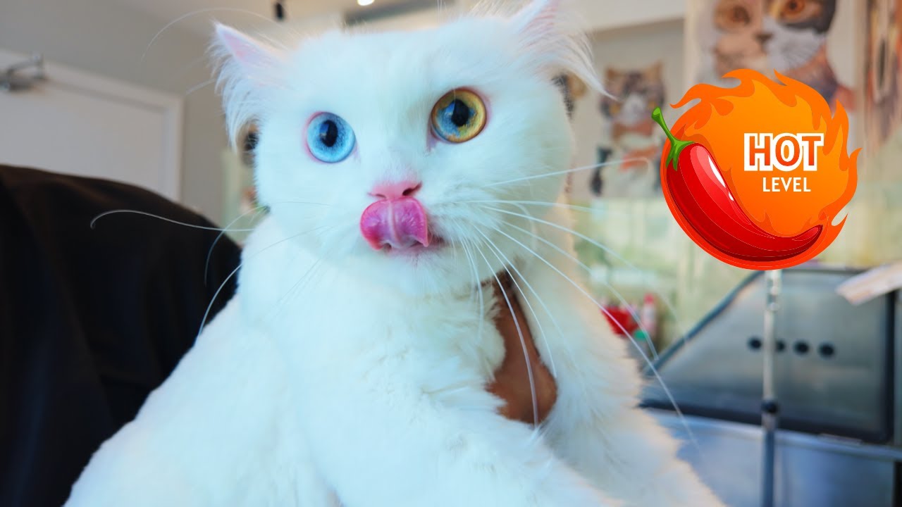 Тушь вернулась!!!! 🌶️ 🌶️ 🌶️ 🌶️ 🌶️ 🌶️