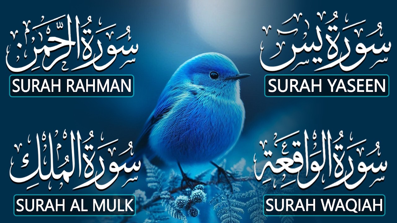 Very Nice Voice Surah Yaseen (Yasin) | Surah Rahman | Surah Waqiah | Surah Mulk | By Alaa Aqel
