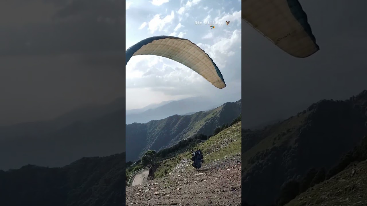 Paragliding life in Bir Billing
