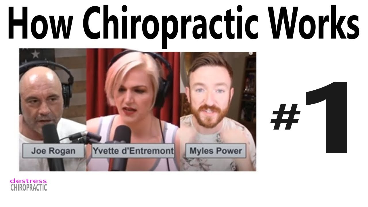 How Chiropractic Works-A Technical Response to Joe Rogan, Yvette d'Entremont & Myles Power Part 1