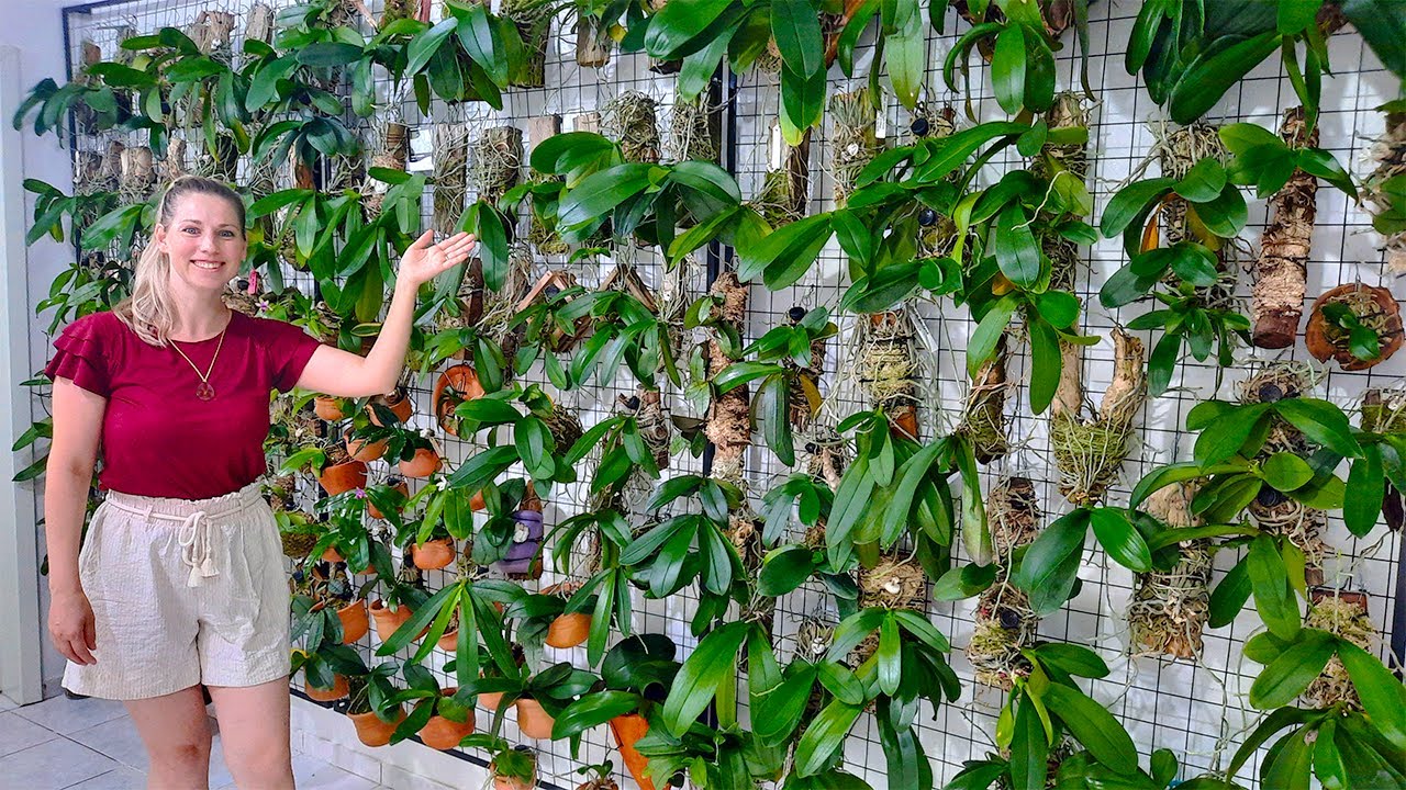 VEJA MEU NOVO ORQUIDÁRIO!
