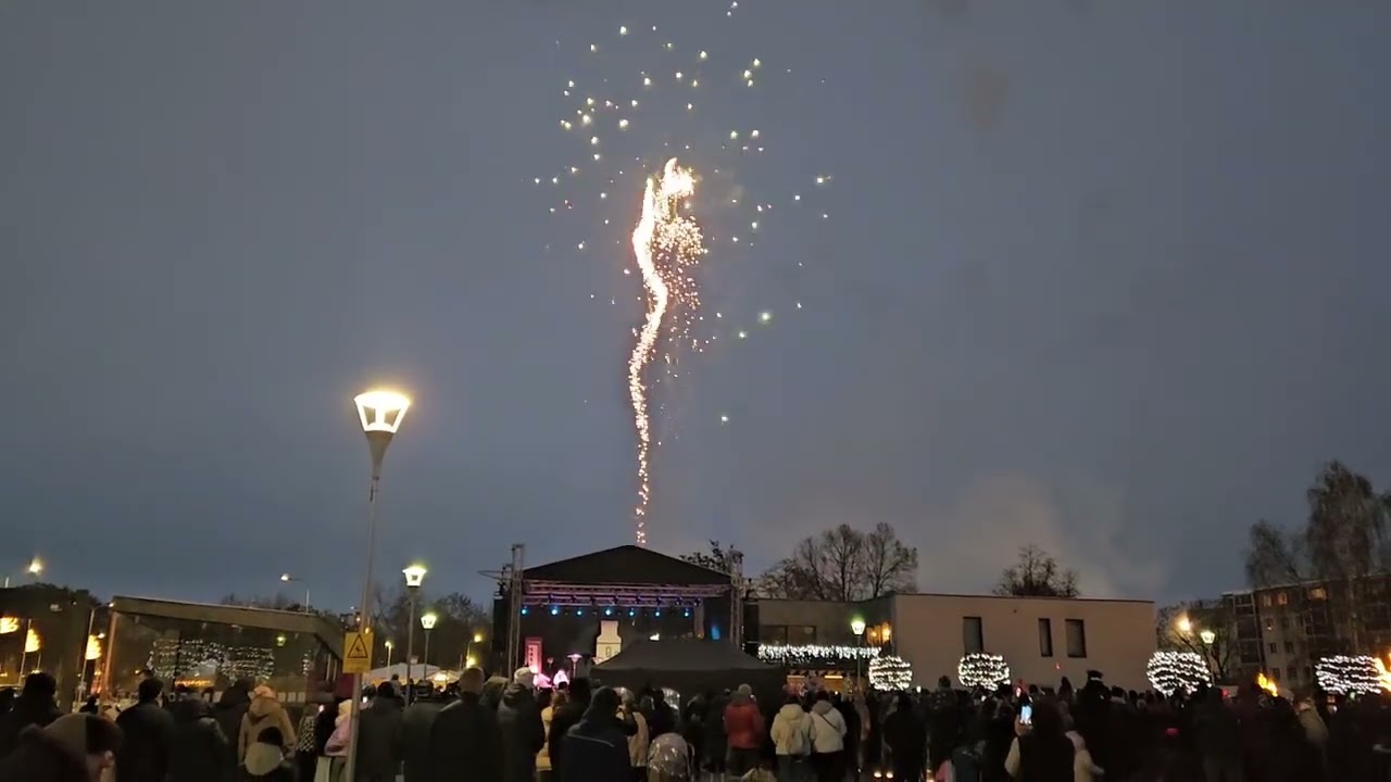 2025 m. lapkričio 29 d.