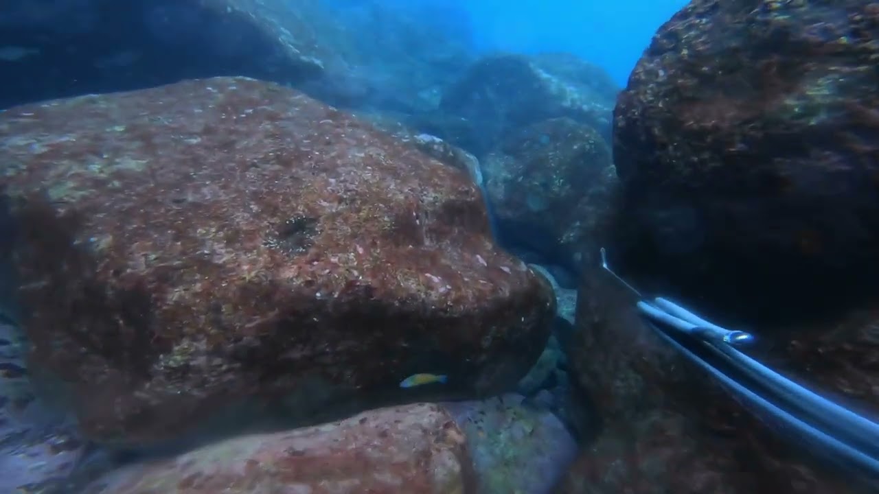 Pesca Submarina | São Miguel Açores