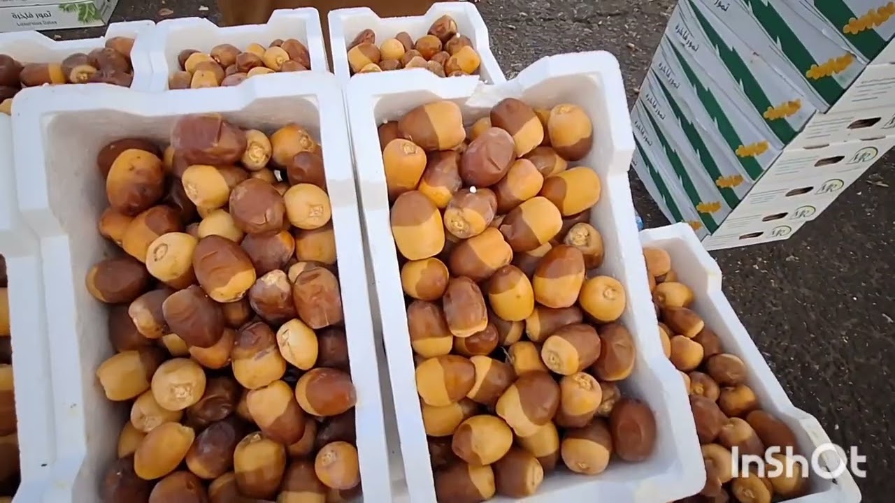 *جولتي في سوق الجملة 🛒 – الخضار 🥦 والتمور 🌴 – بأسعار جد مناسبة 💰✨* 🕋