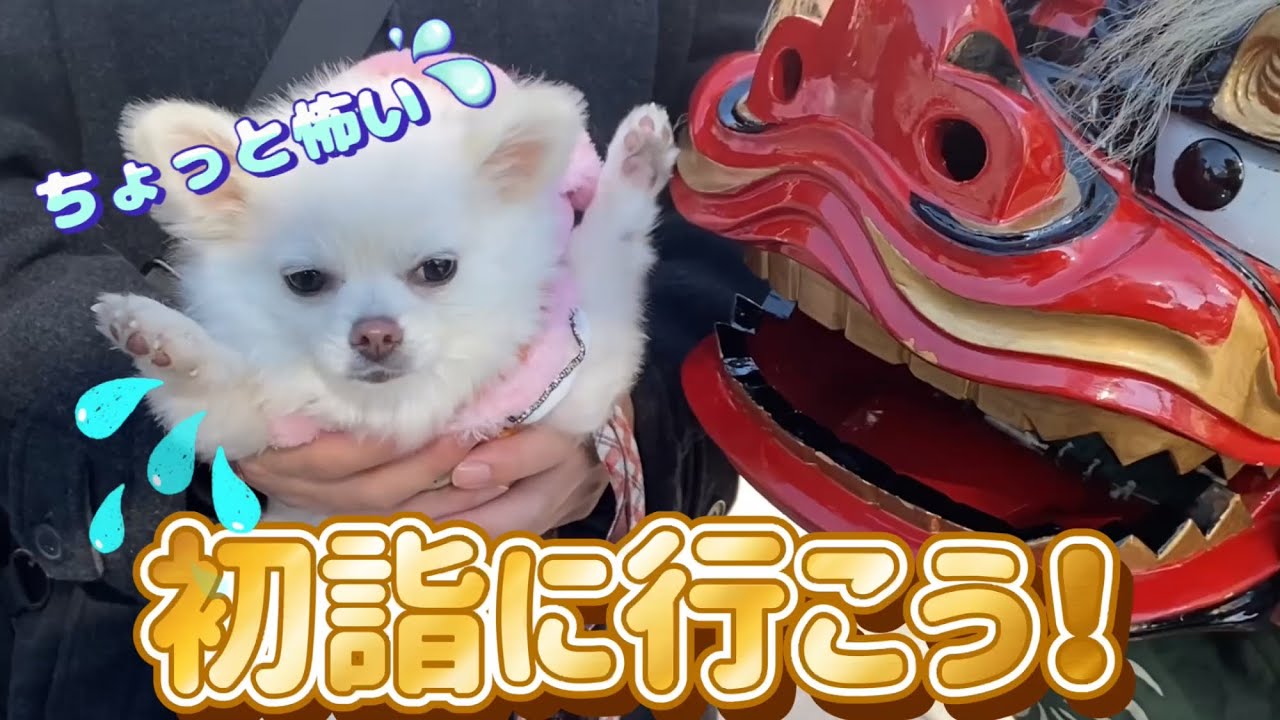 お正月！初詣に行こう！