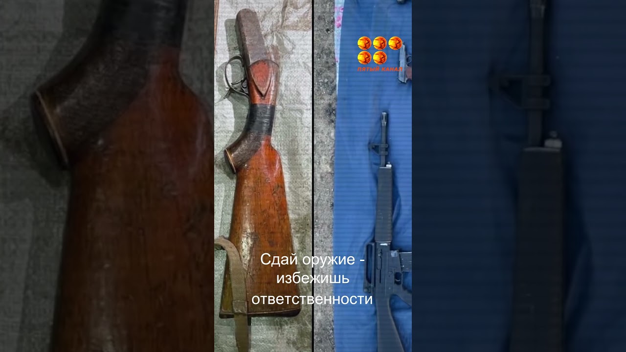 Reception of weapons by the Ministry of Internal Affairs