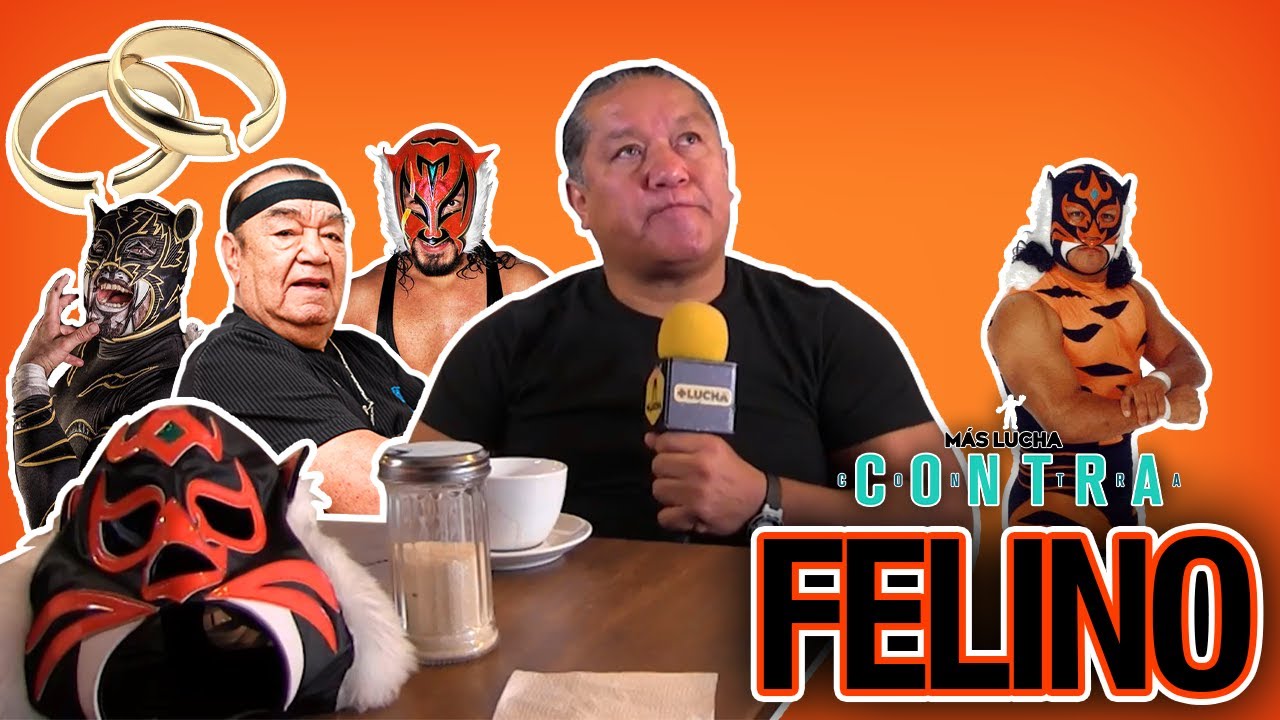 Felino | Mas Lucha Contra Episodio 31