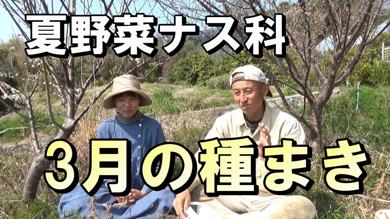 【自然農】3月の種まき　夏野菜・ナス科　2023年3月7日  【natural farming】