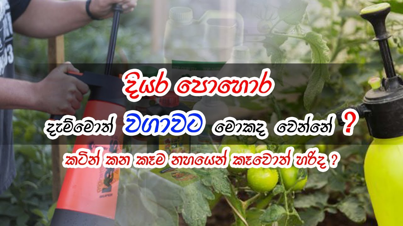 What will happen,if we utilize liquid fertilizer for the cultivation?