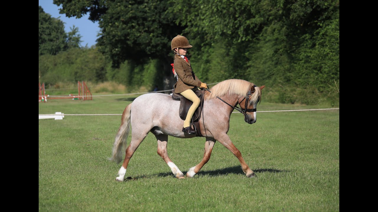 HOYS first ridden qualifier TSR 2021 Thistledown Fun-Fair