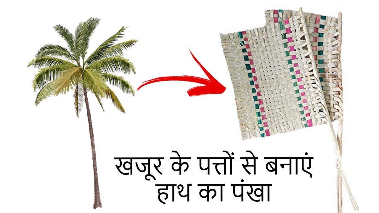 How to make amazing hand fan with date leaf | खजूर के पत्तों से बनाएं हाथ का पंखा
