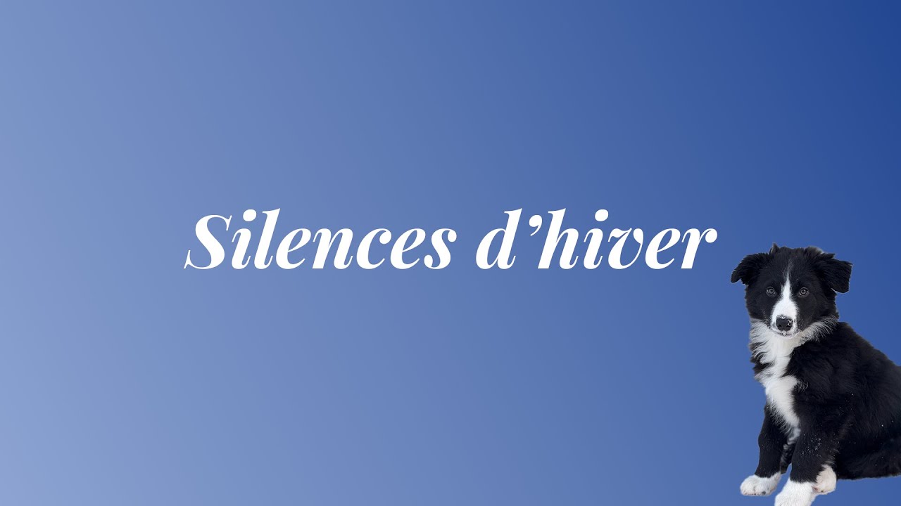 Silences d'hiver