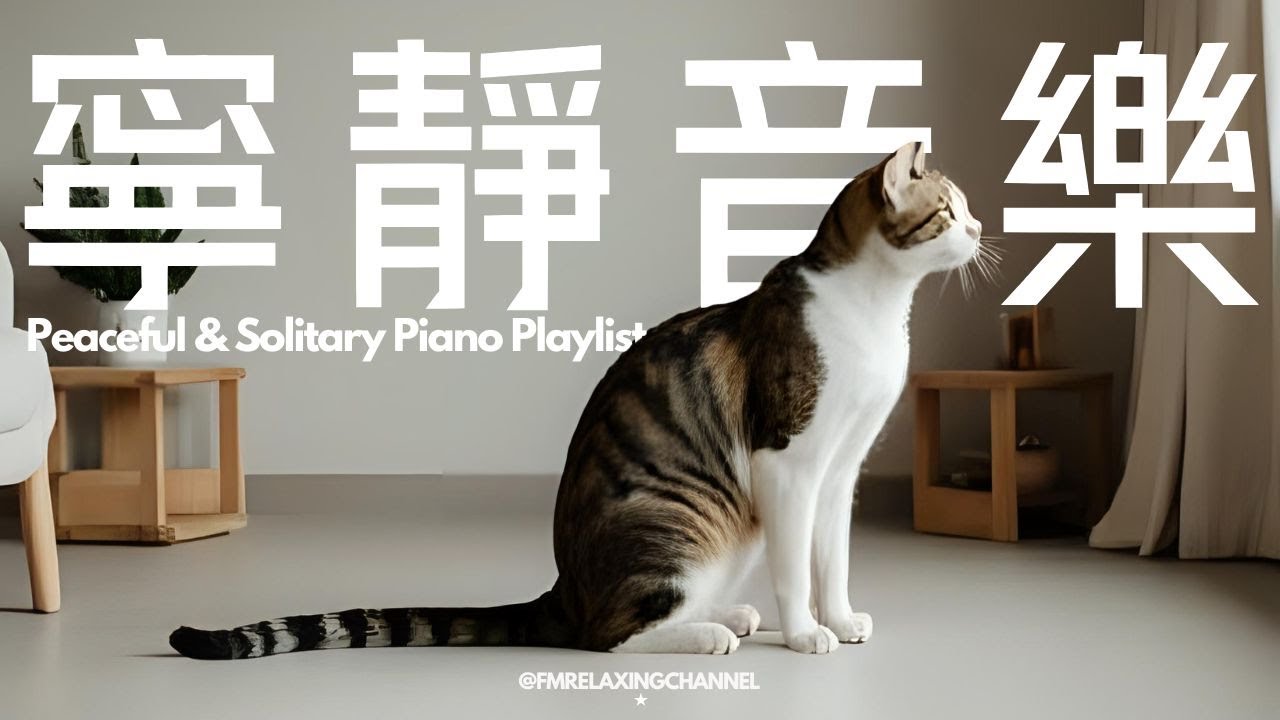 【PEACEFUL PIANO BGM】一聽就能讓你放鬆！90分鐘的沉浸式舒壓旋律，溫柔的琴聲會撫平你的煩躁，陪你度過輕鬆又平靜的時光。特別適合用來冥想、放鬆，還有學習和工作時當背景音樂