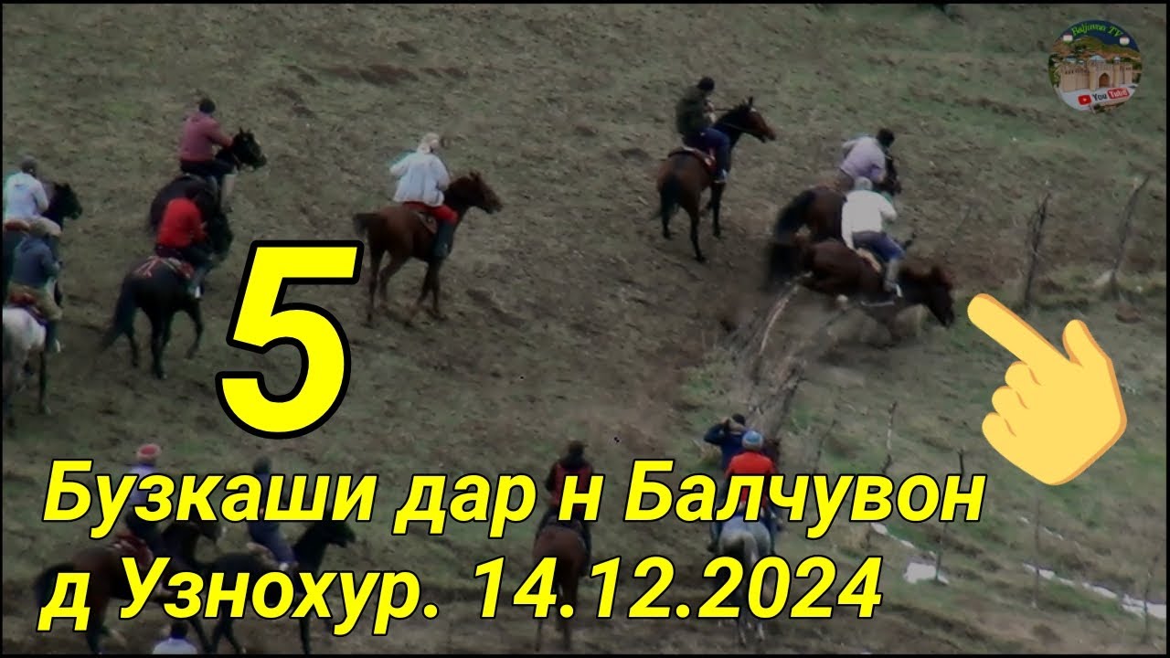 Бузкаши дар н Балчувон д Узнохур кисми 5.  14.12.2024