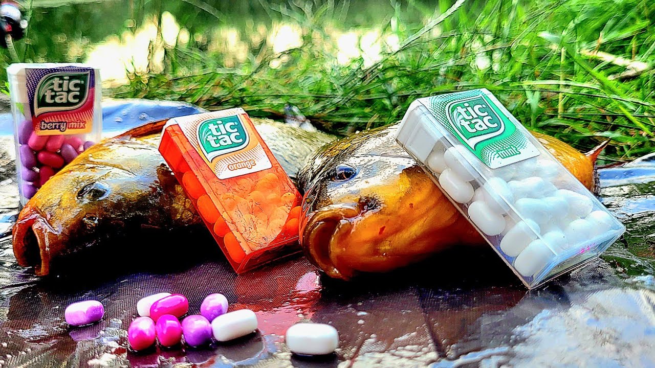 Łowie na Tic Taci  Method Feeder PZW