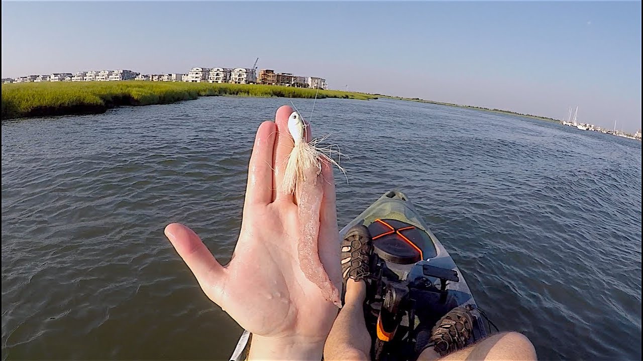 Jersey Backbay Fluking with Strip Baits