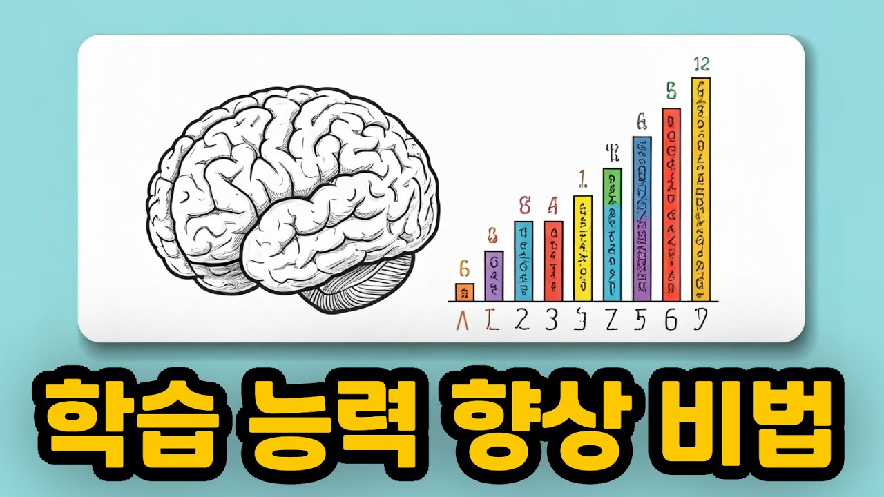 교육학 지식 활용법 : 학습 능력 향상시키는 방법