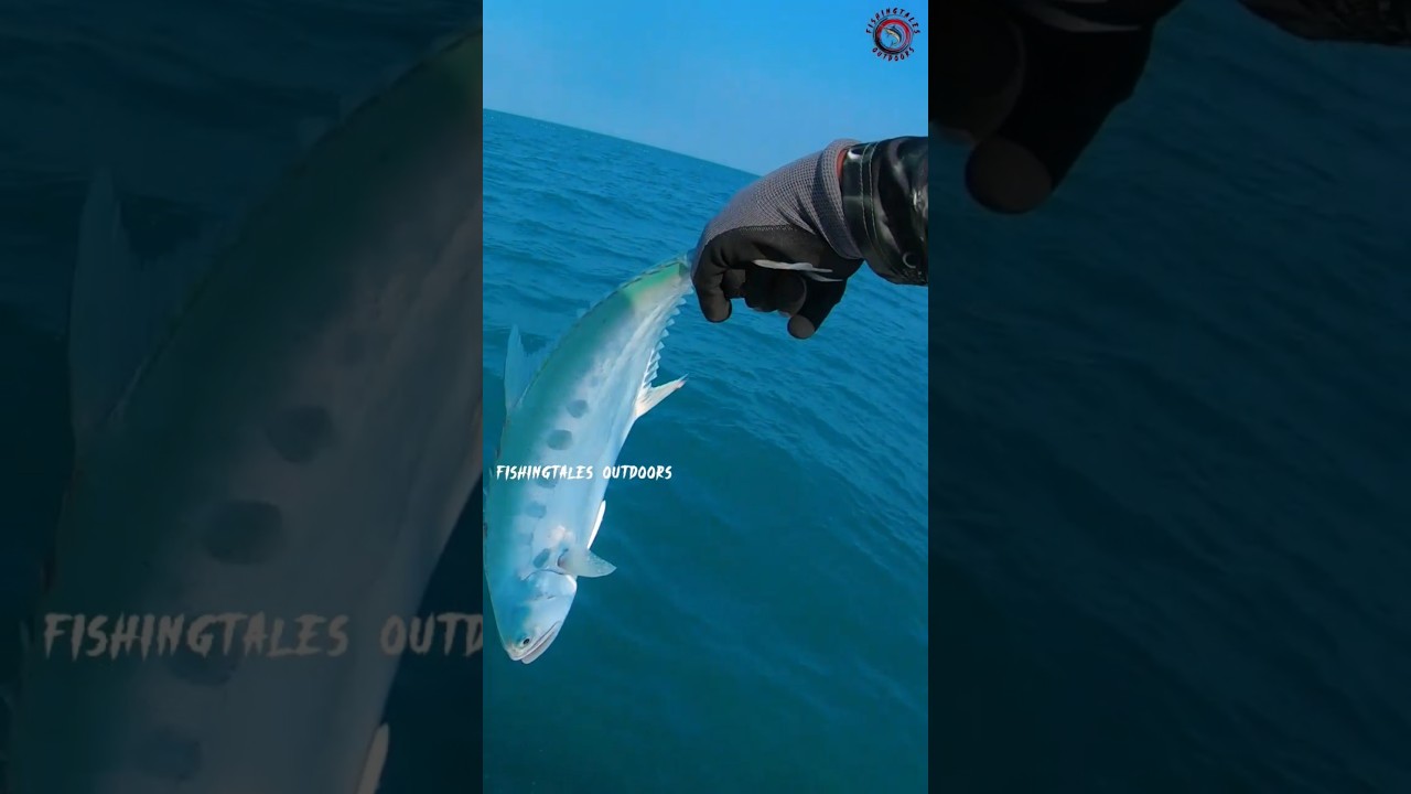 Deep sea Jigging | Qatar fishing  #fishing  #deepseafishing