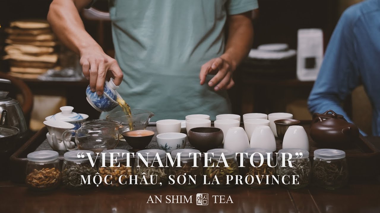 Vietnam Tea Tour by AN SHIM TEA - Mộc Ch&acirc;u, Sơn La province