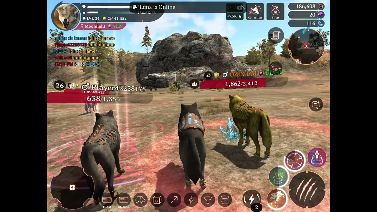 THE WOLF: tips and tricks pvp. 101 guide to PvP.