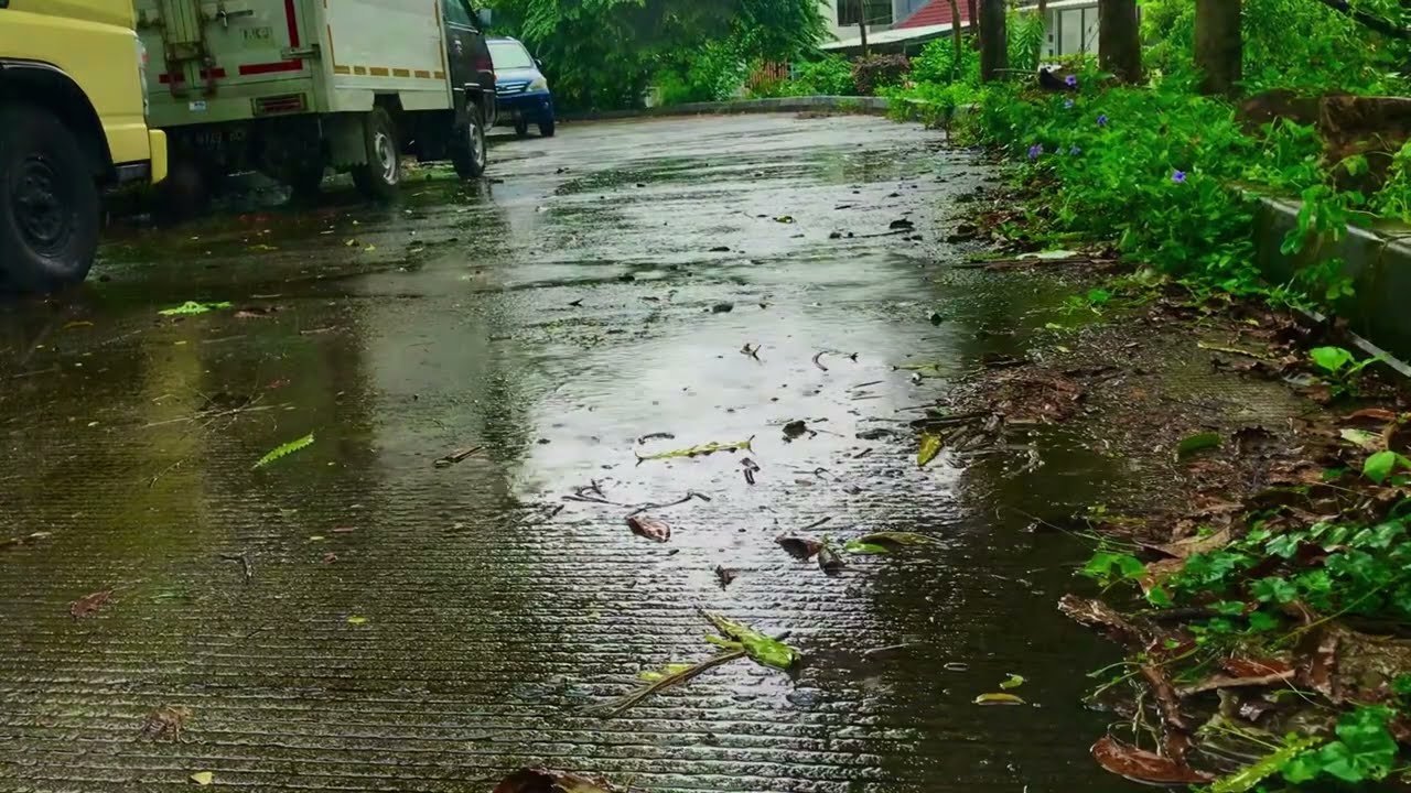YOU will SLEEP INSTANTLY with Strong Rainstorm & Intense Thunder Sounds | Rain Sounds or Sleeping