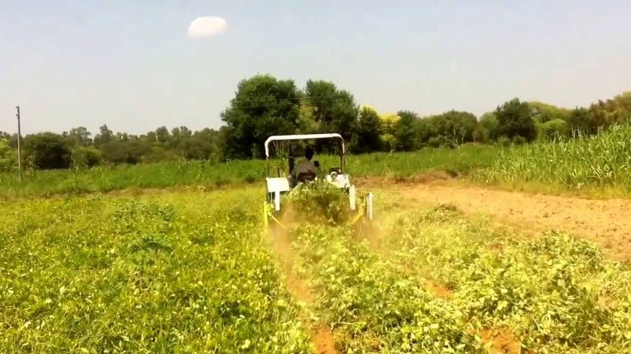 NJT ground nut diggerGround nut digger (new jagjeet thresher) ph +919416379801