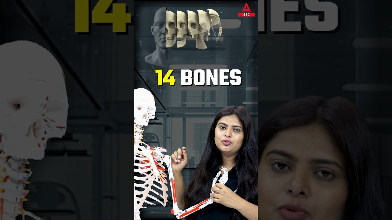 Phalanges क्या है ? Skeleton System of Human Body 😎 CHAMPU vs NEERAJ MAM #skeletonsystem #sscadda247