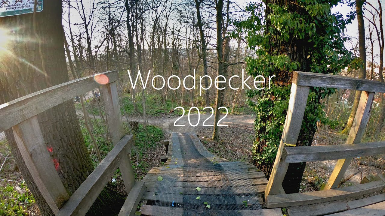 Woodpecker Trail Stuttgart