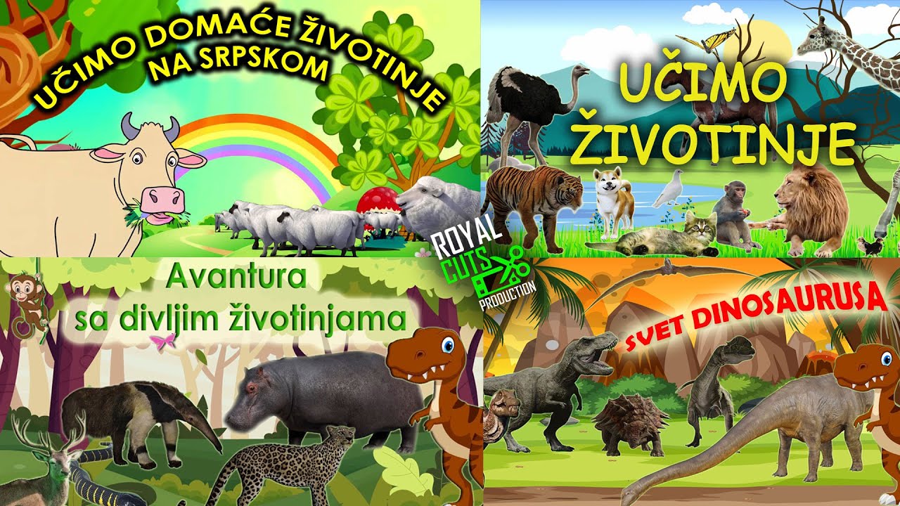 Ucimo Zivotinje Domace i Divlje, Ucimo Dinosauruse |🐸 Video Kompilacija Za Decu Crtani Filmovi 🐶🐒🐱🐢