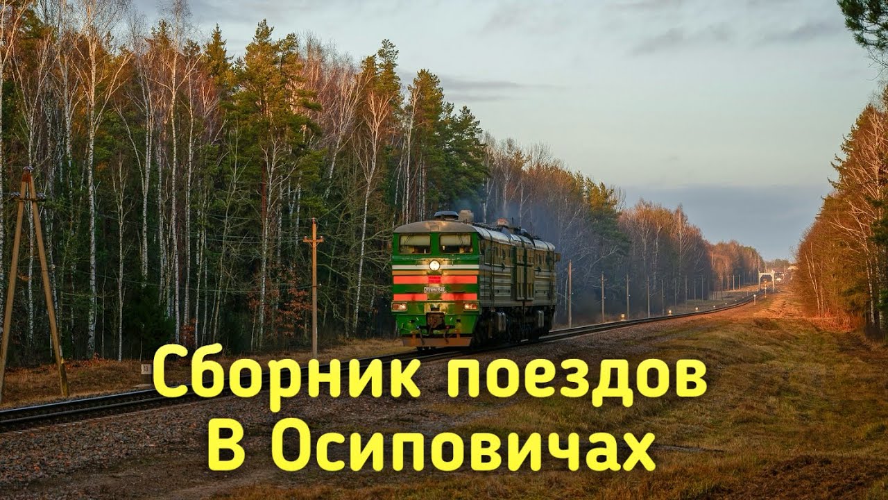 Сборник поездов в Осиповичах.