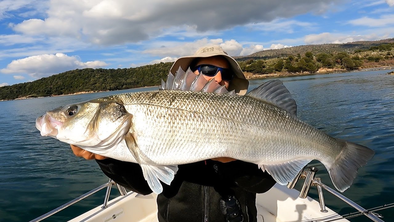 Πως να πιάσετε Λαβράκια με Σιλικόνες