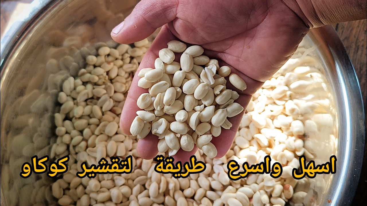 اقوي مشروع لتقشير كوكاو بدون الة ولا معدات طريقة سهلة جداً لزم تشفها