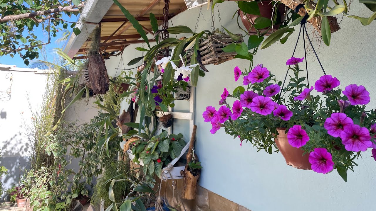 Muitas coisas bonitas para ver nesse vídeo/florações,objetos antigos e tomando água do meu coquinho🥰