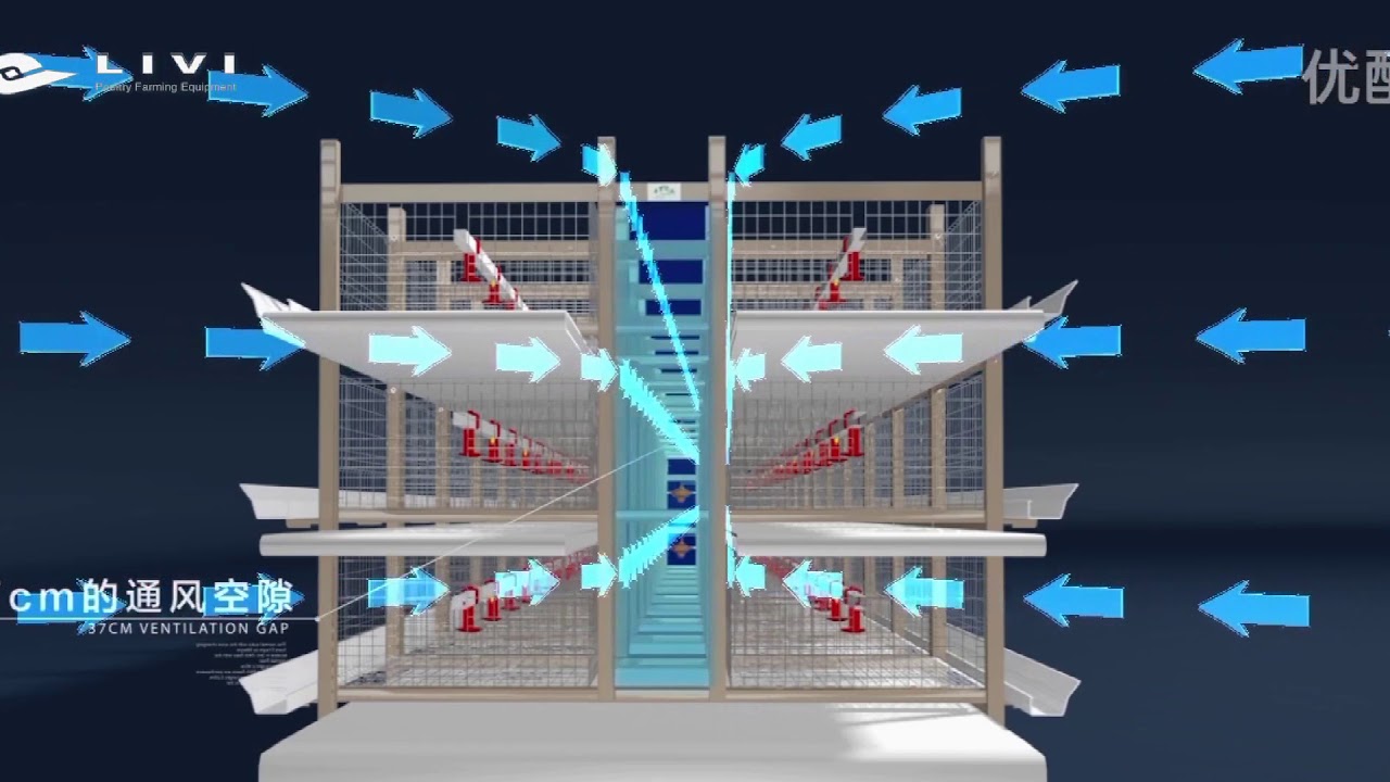 Poultry Farming | Broiler colony cage system