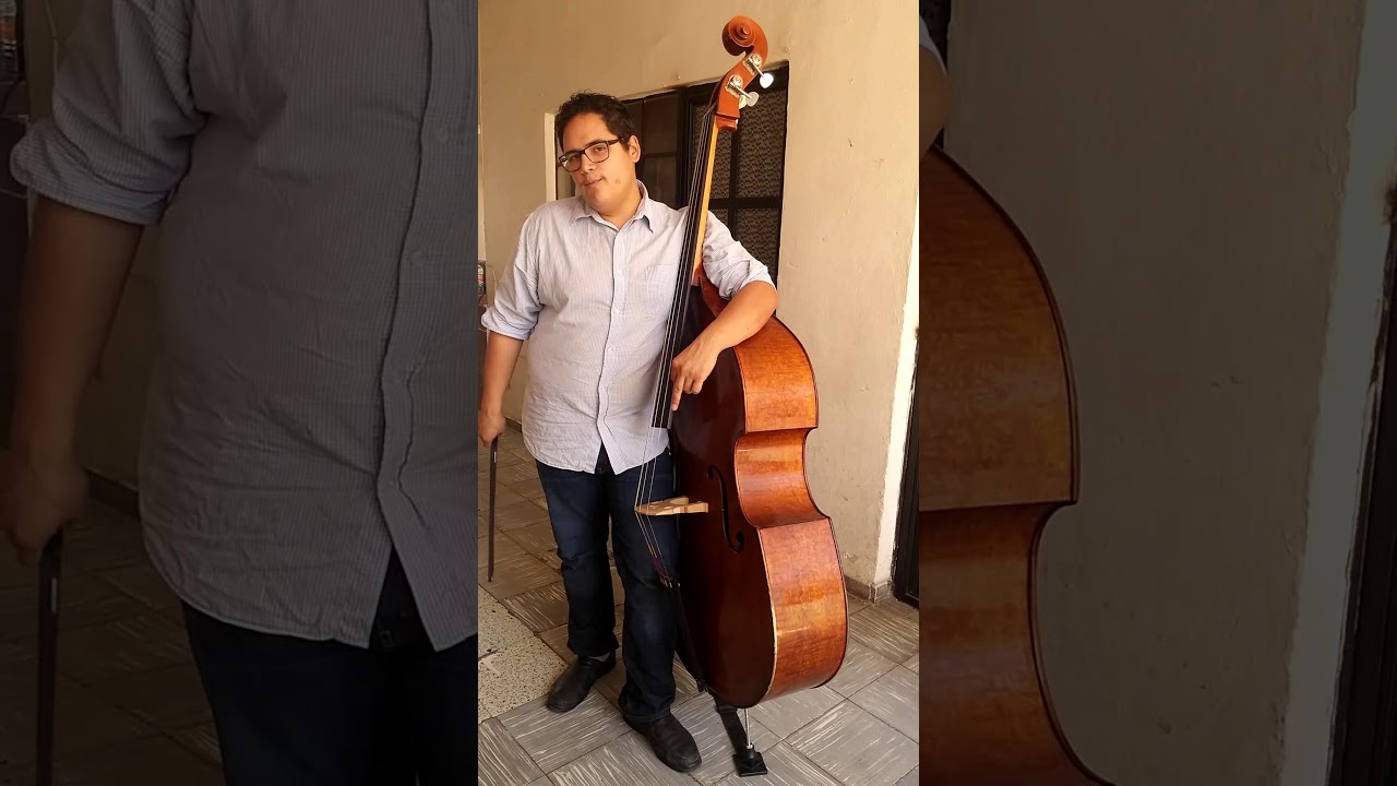 Introducción al contrabajo 1