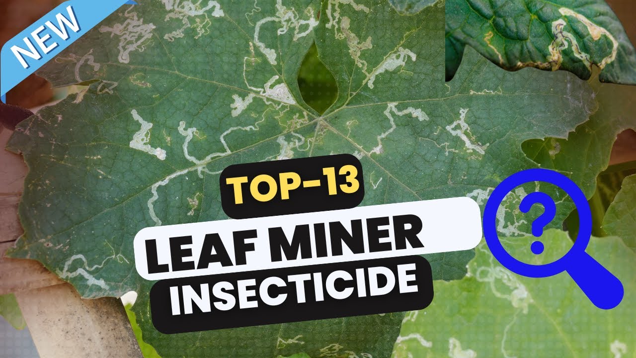 How to Control Leaf Miners: Effective Synthetic Insecticides and Garden Sanitation Tips