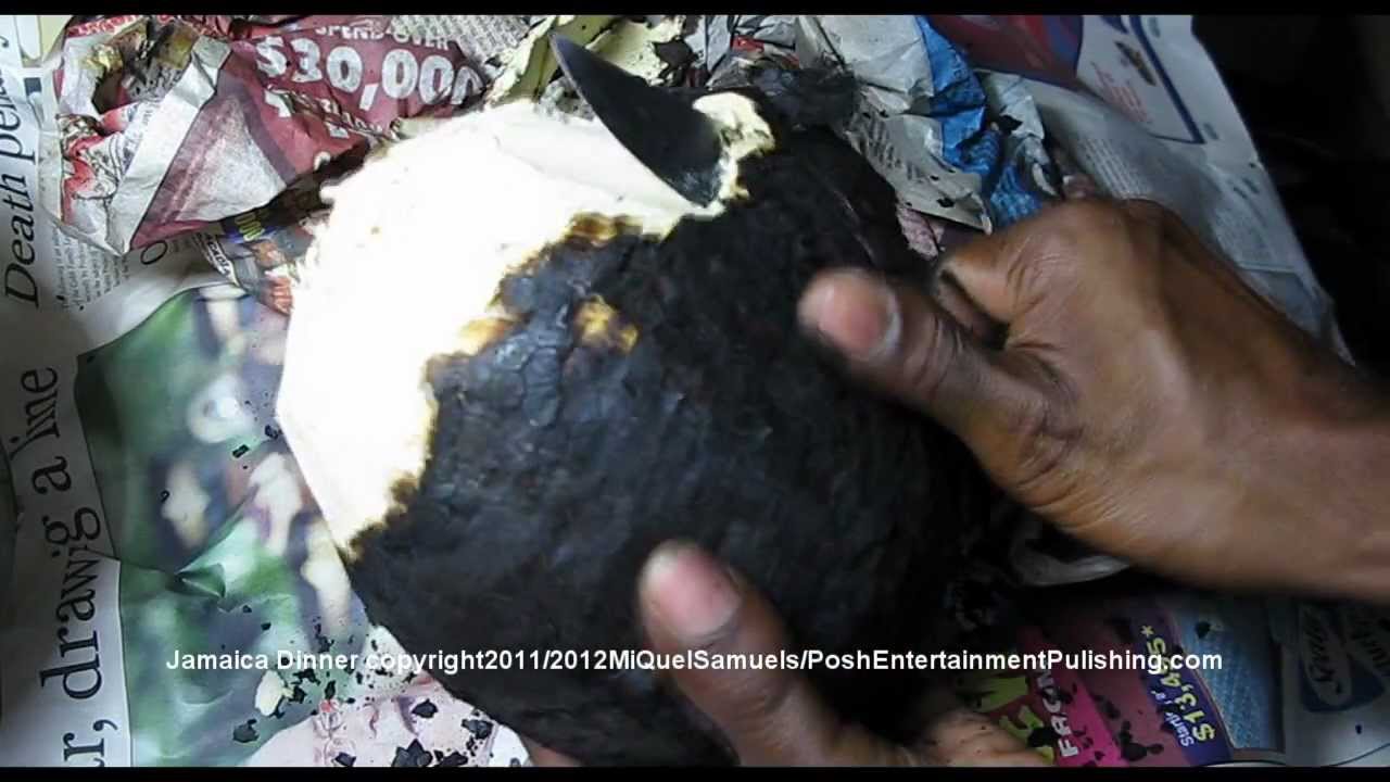 How to Roast Breadfruit on the stove top. (Jamaica Tradition).