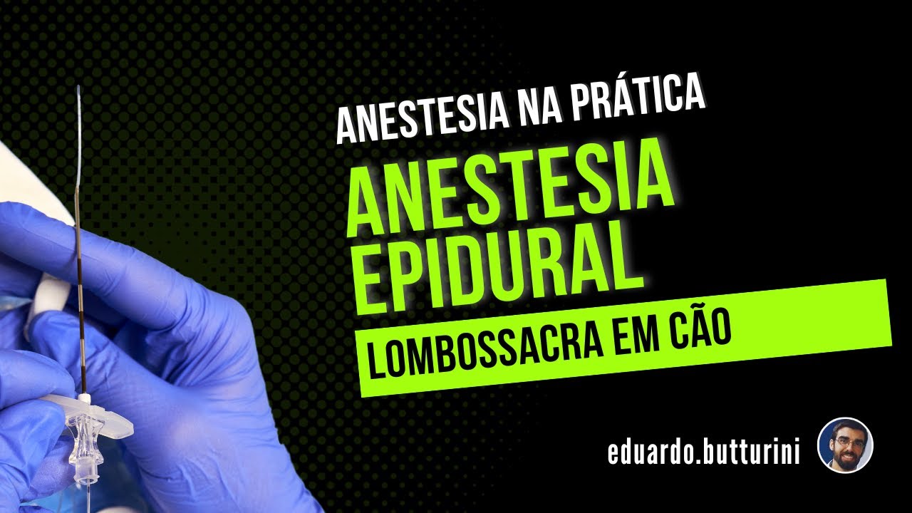 Anestesia na prática - Técnica de anestesia epidural lombossacra em cães