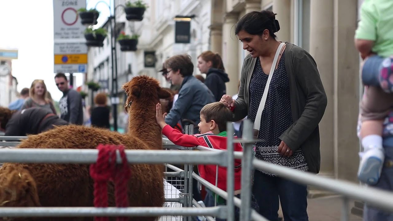 Whitsun Fayre 2014 - Bury St Edmunds