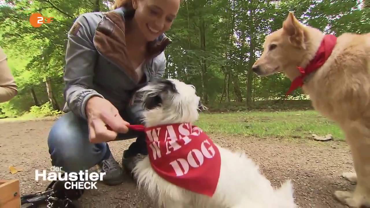 Der Haustier Check Staffel 3 Folge 3 HD vom 18 09 16 2016 Komplett S03 E03