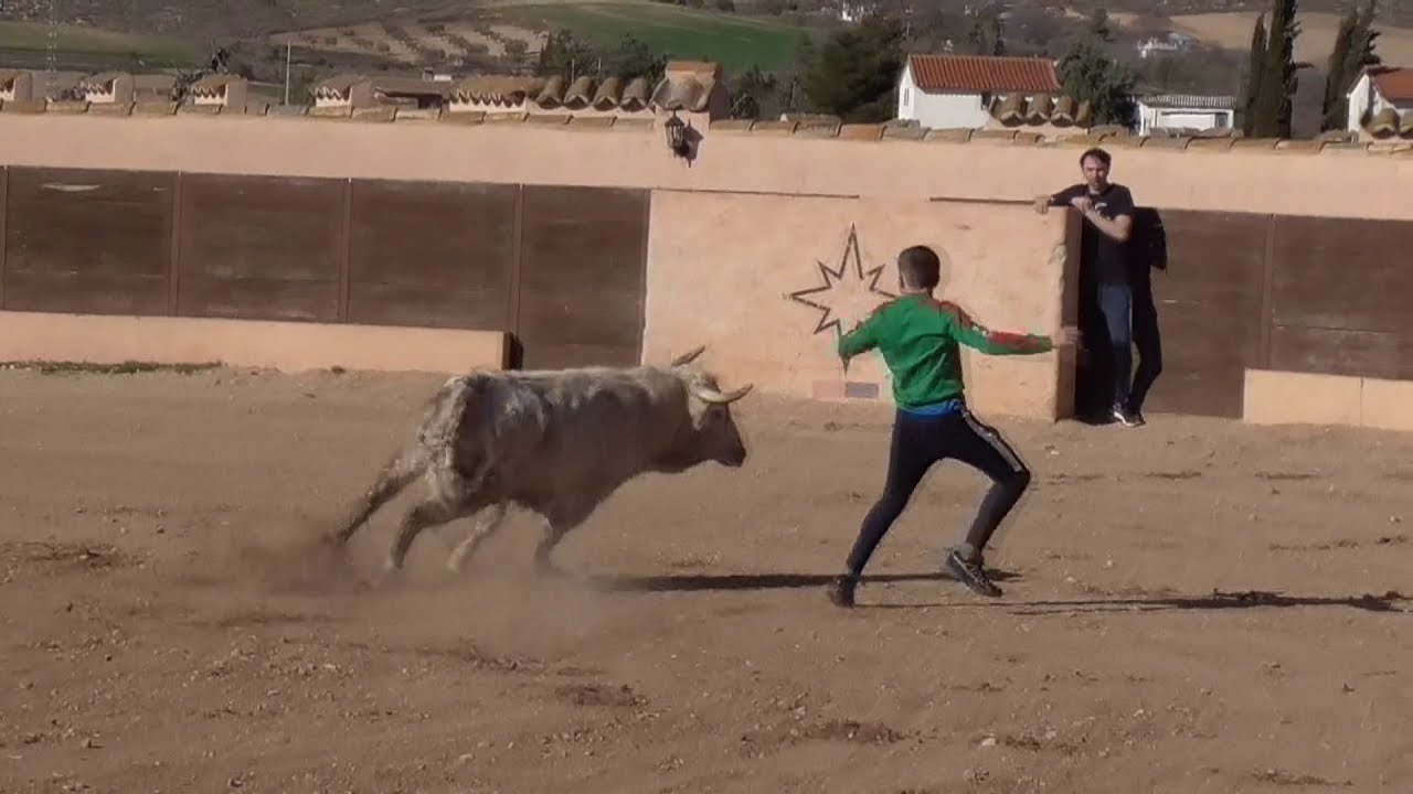 Capea Bellalucía 13 02 21 parte II