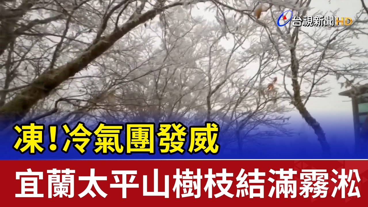 凍！冷氣團發威 宜蘭太平山樹枝結滿霧淞