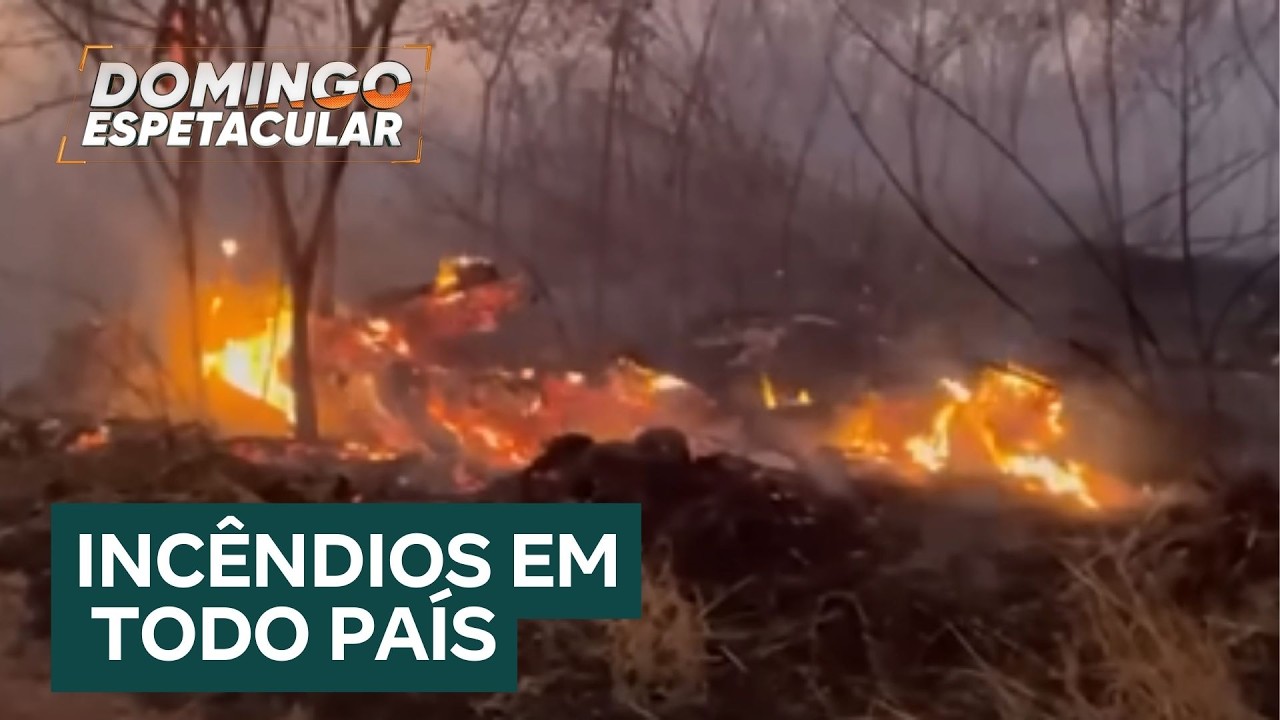 Brasil em chamas: equipes trabalham para conter os incêndios florestais que assolam o país