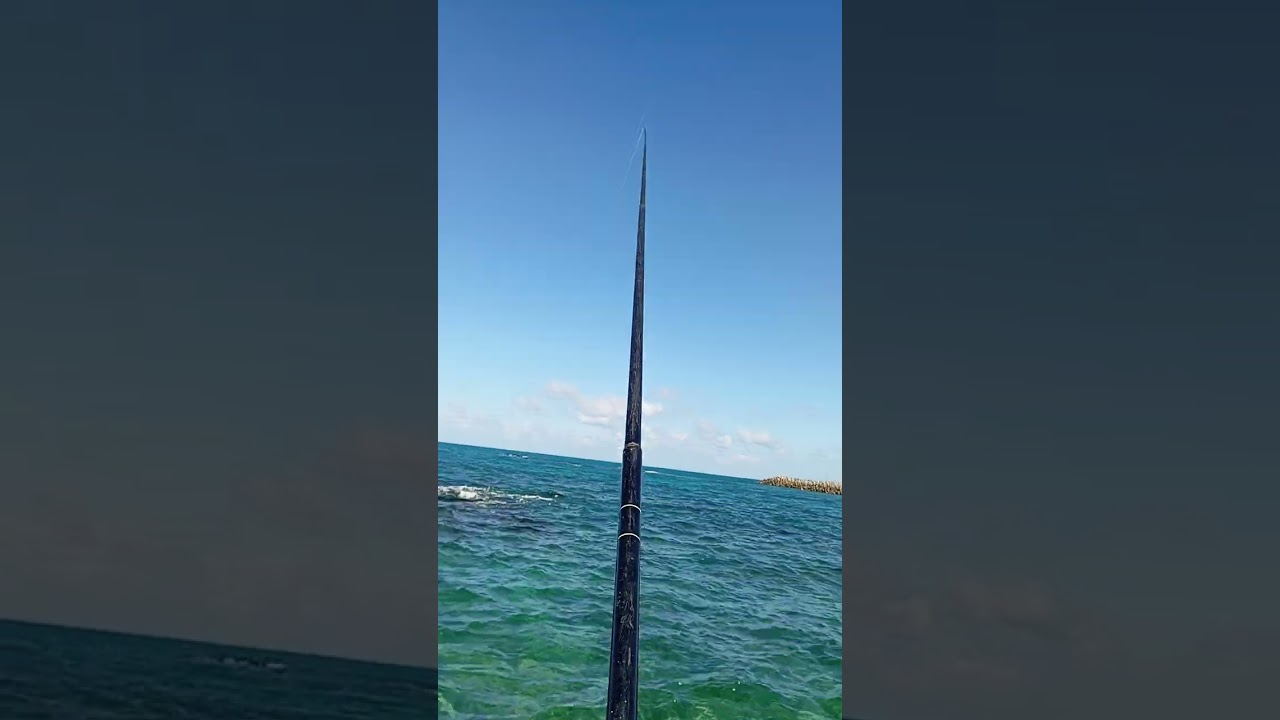 صيد السمك البطاطا بالسبحه